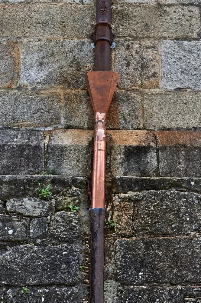 Slide of Smith Gutter