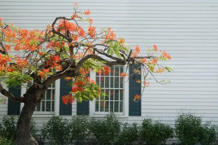 Slide of Smith Siding and Windows
