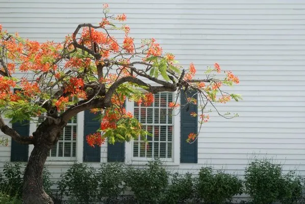 Smith Siding and Windows