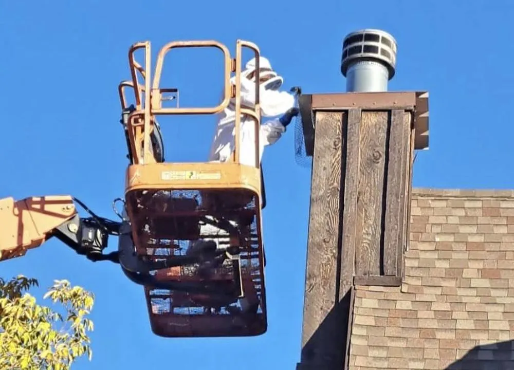 Expert roof repair in Garden City, UT - Smith's Rolling On Roofs