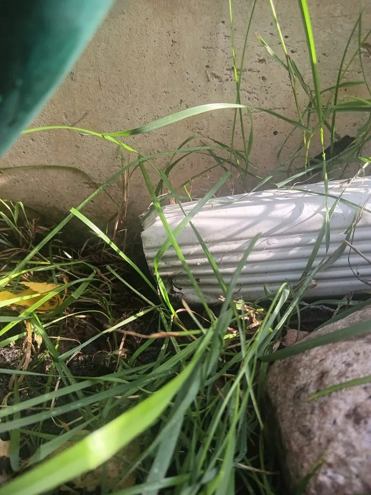 Slide of Snappy Services