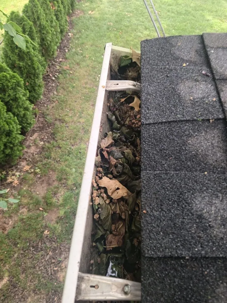 Slide of Snappy Services