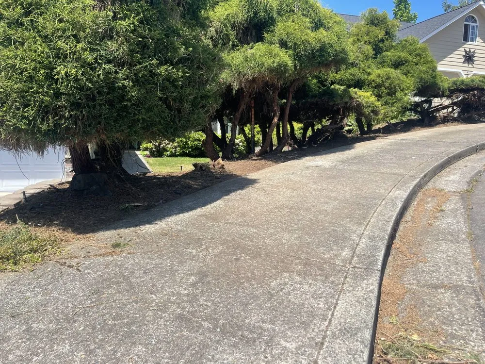 Slide of Snyder Construction