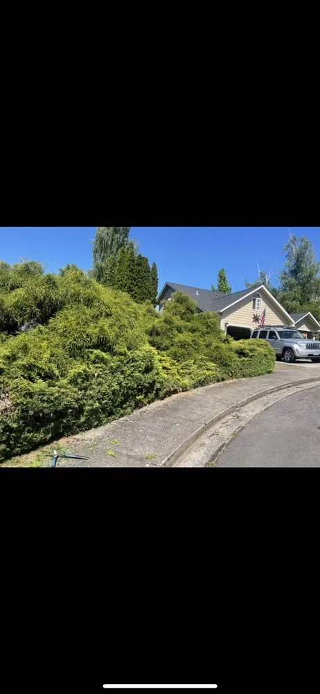 Slide of Snyder Construction