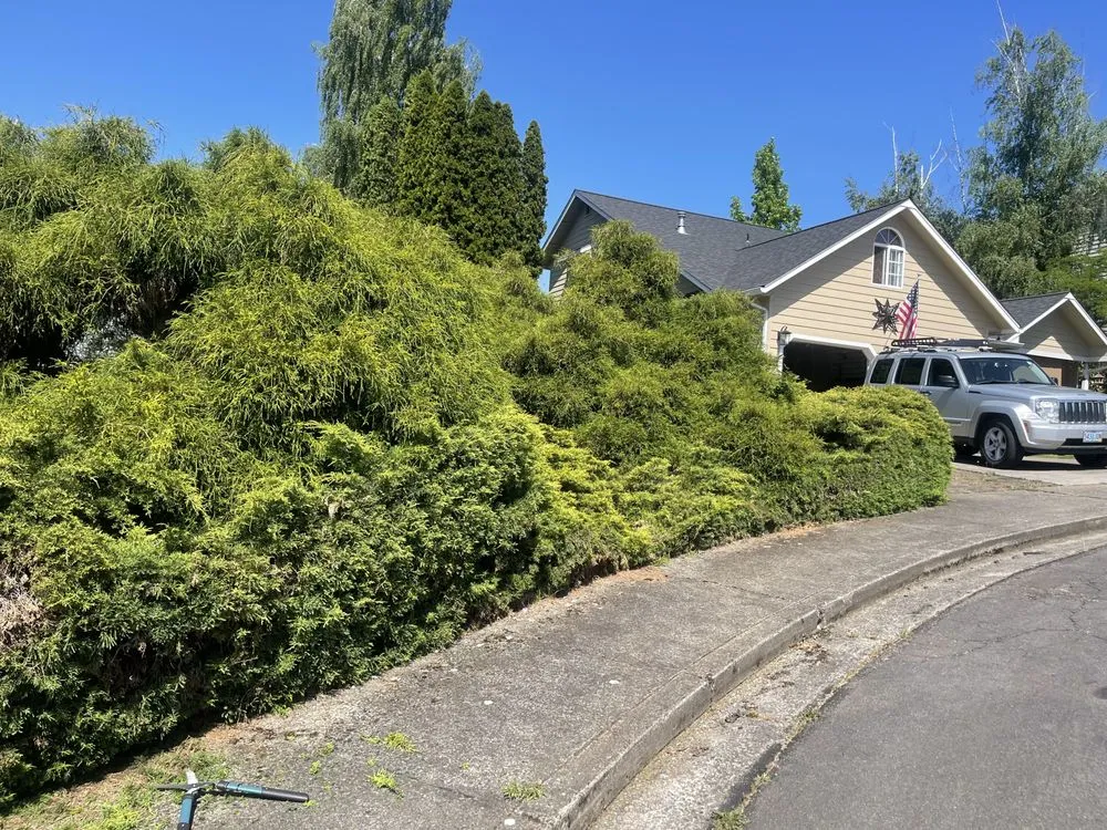 Slide of Snyder Construction