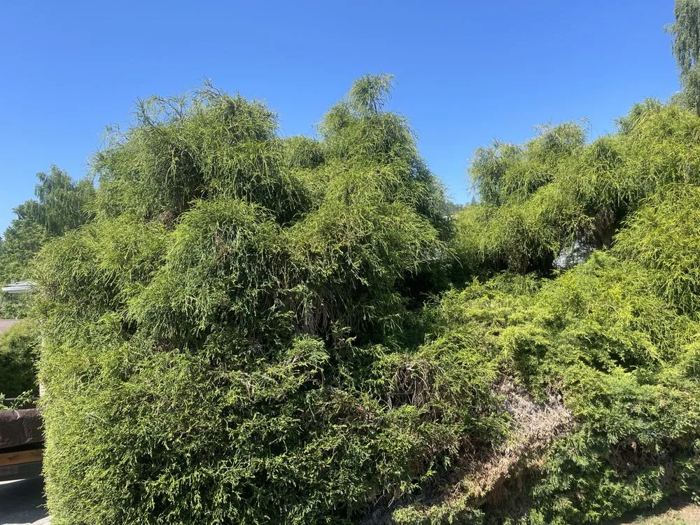 Slide of Snyder Construction