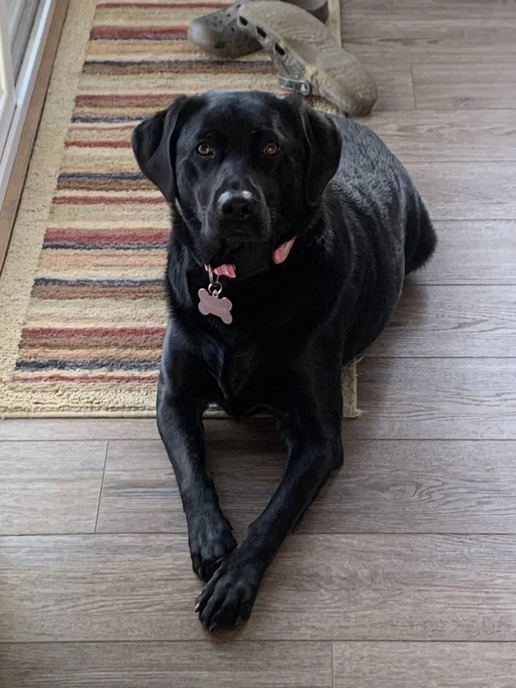 Slide of Snyder Roofing and Siding