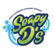 Slide of Soapy D's Exterior Cleaning