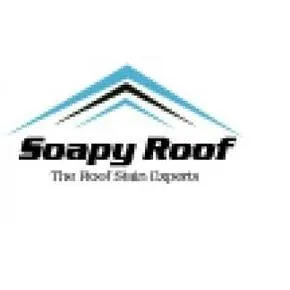 Slide of Soapy Roof