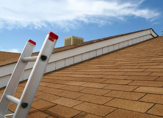 Sochia Roofing & Shed Builders