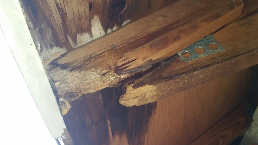 Slide of SoFla Facilities