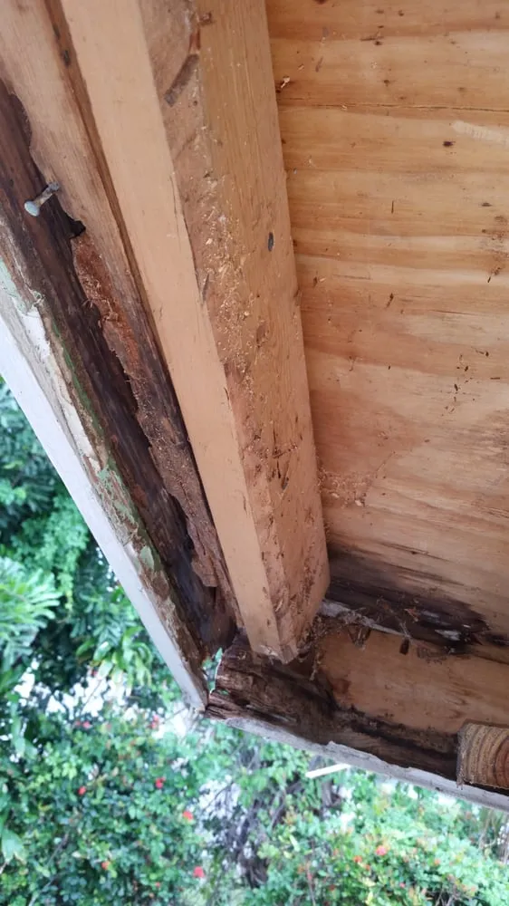 Slide of SoFla Facilities