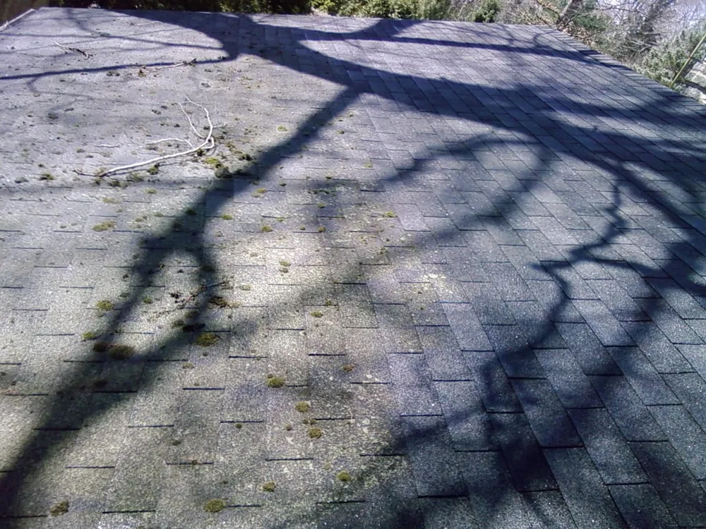 Slide of Soft Wash Roof Restoration