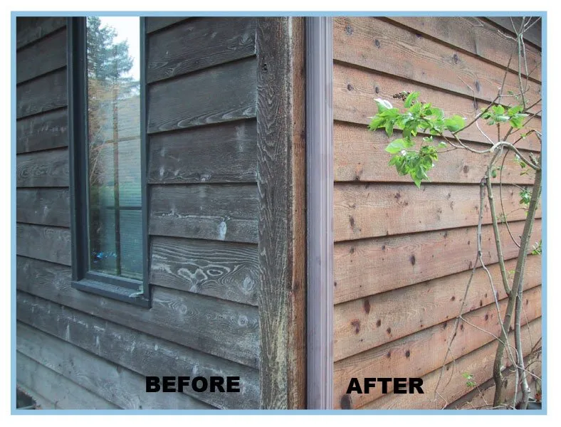 Slide of Softwash Hawaii