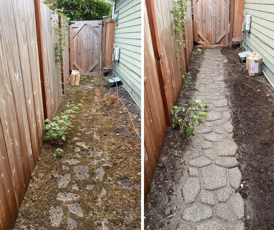 Slide of Softwash Hero