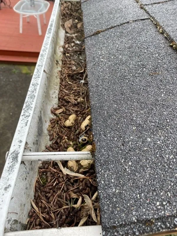 Slide of Softwash Hero