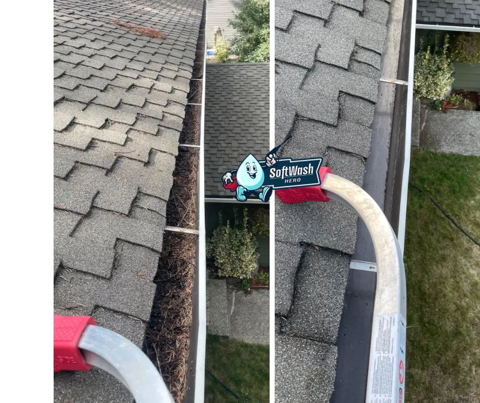 Slide of Softwash Hero