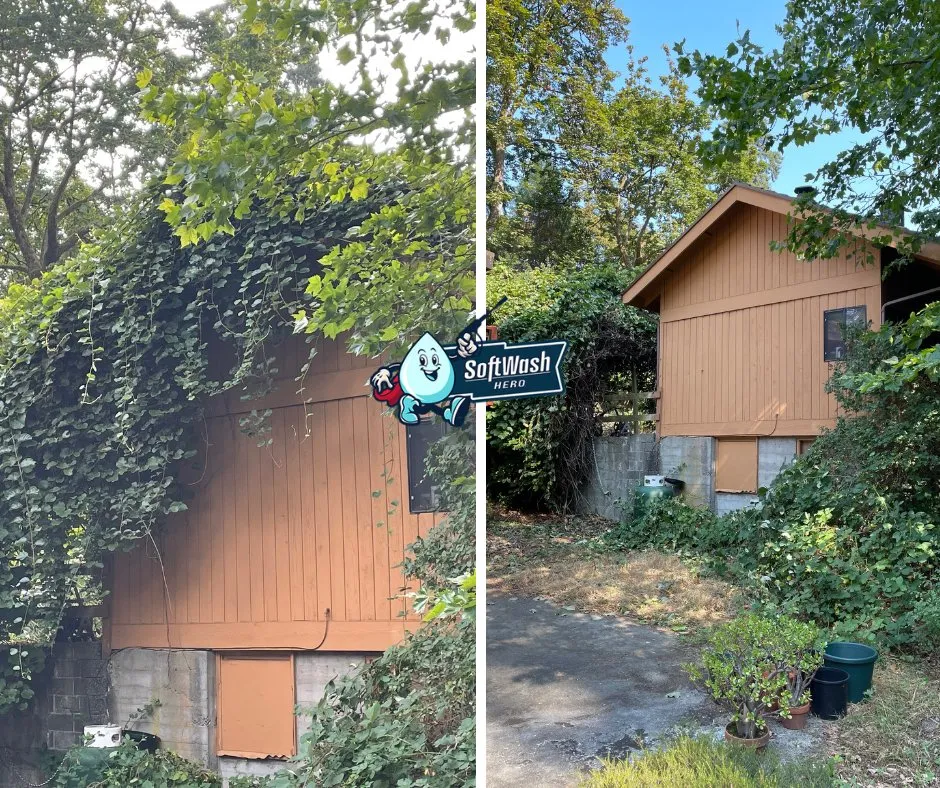 Slide of Softwash Hero