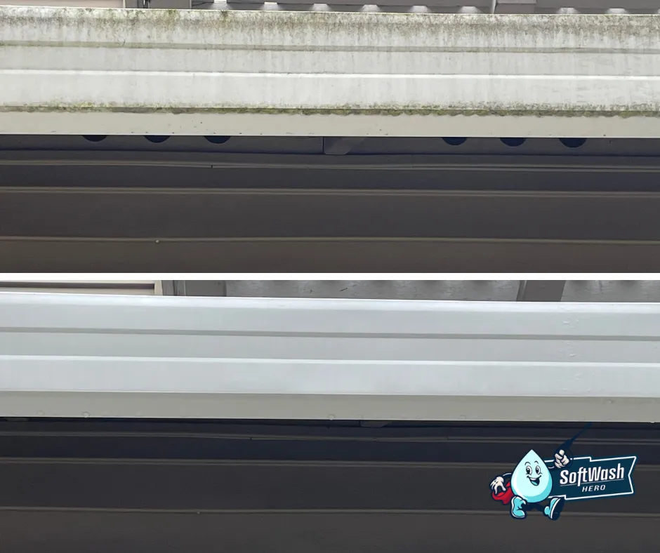 Slide of Softwash Hero