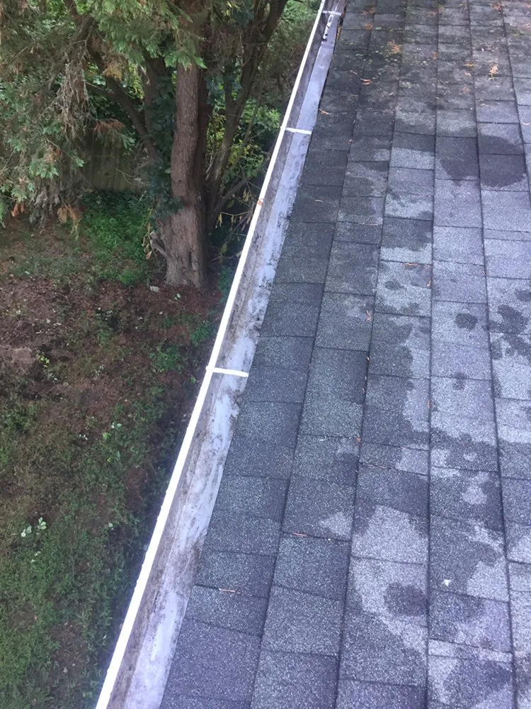 Slide of Sol Construction Multiservice