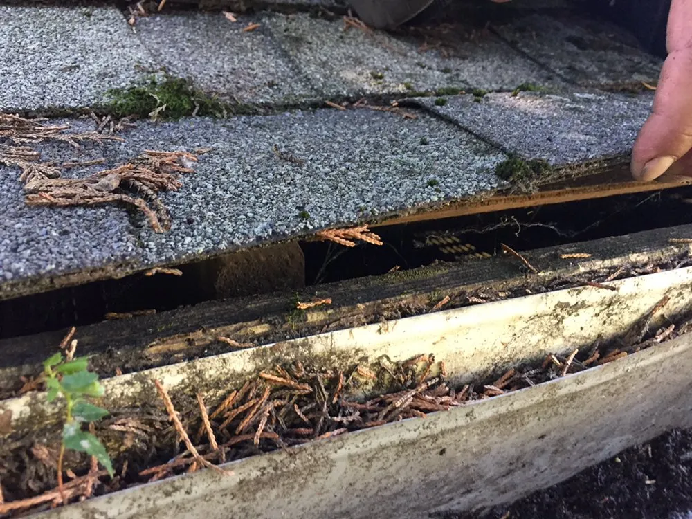 Slide of Sol Construction Multiservice