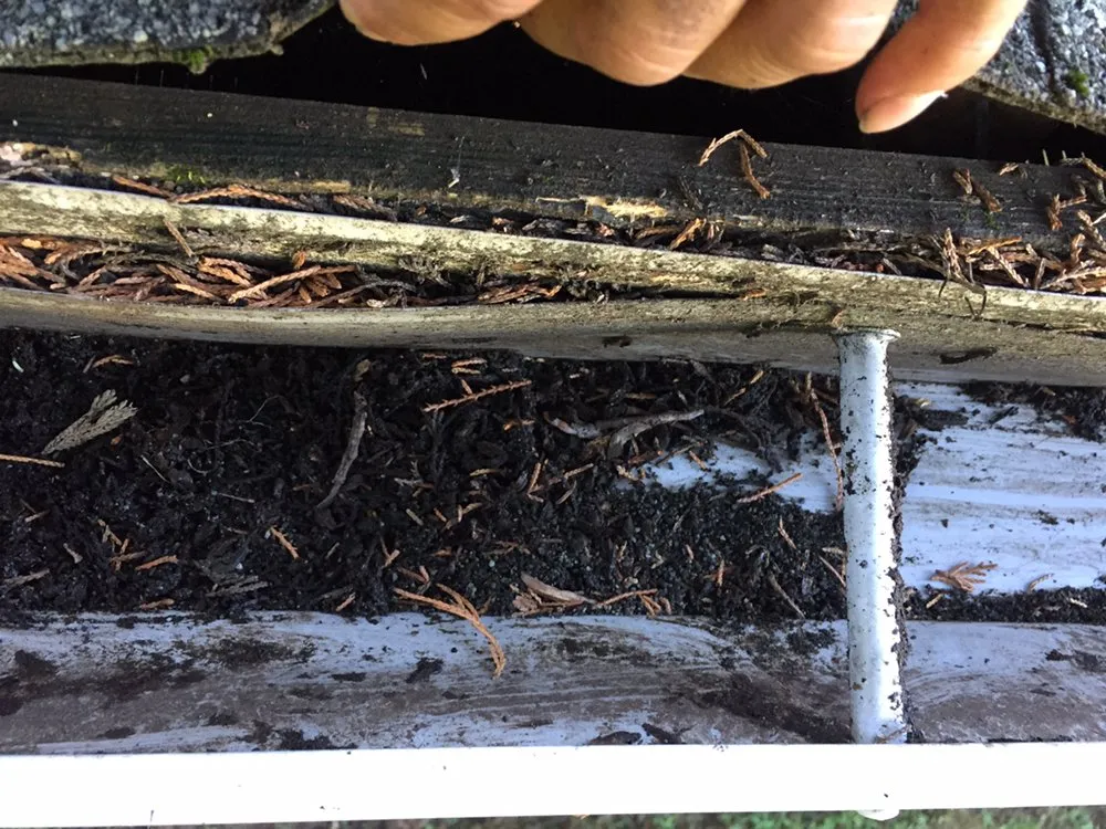 Slide of Sol Construction Multiservice