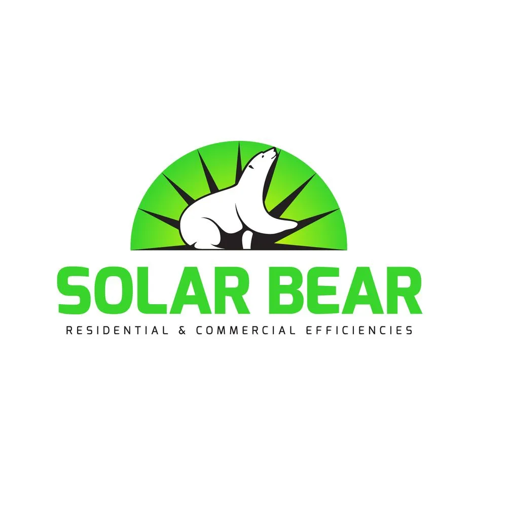 Slide of Solar Bear