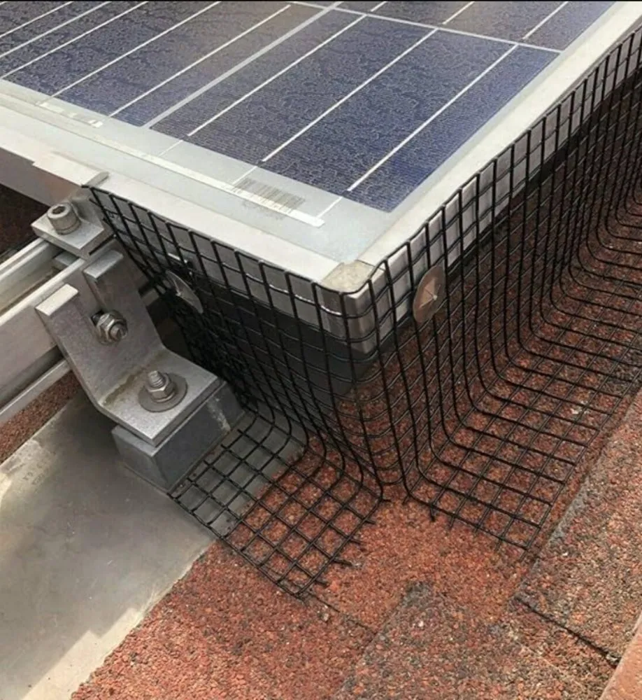 Slide of Solar Bright