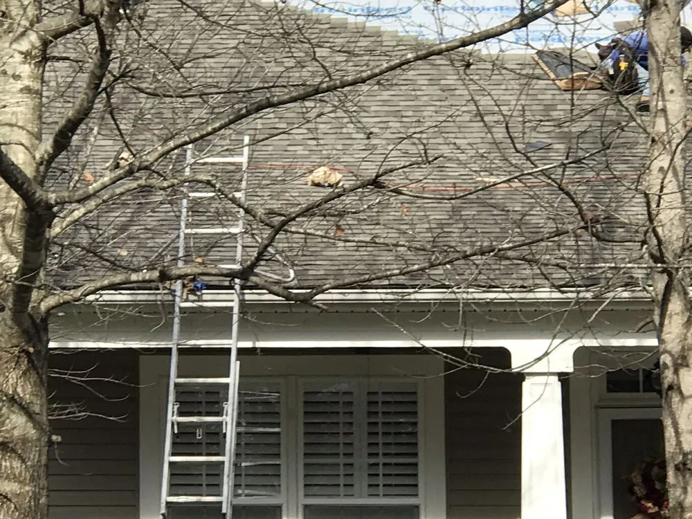 Slide of Solid Roofing