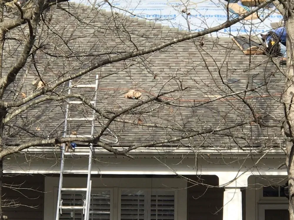 Slide of Solid Roofing