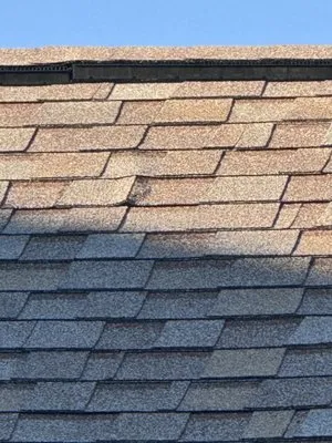 Solid Roofing