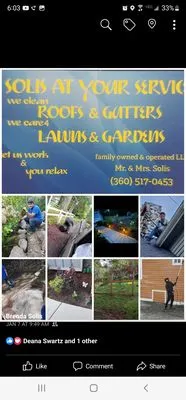 Solis At Your Service Logo