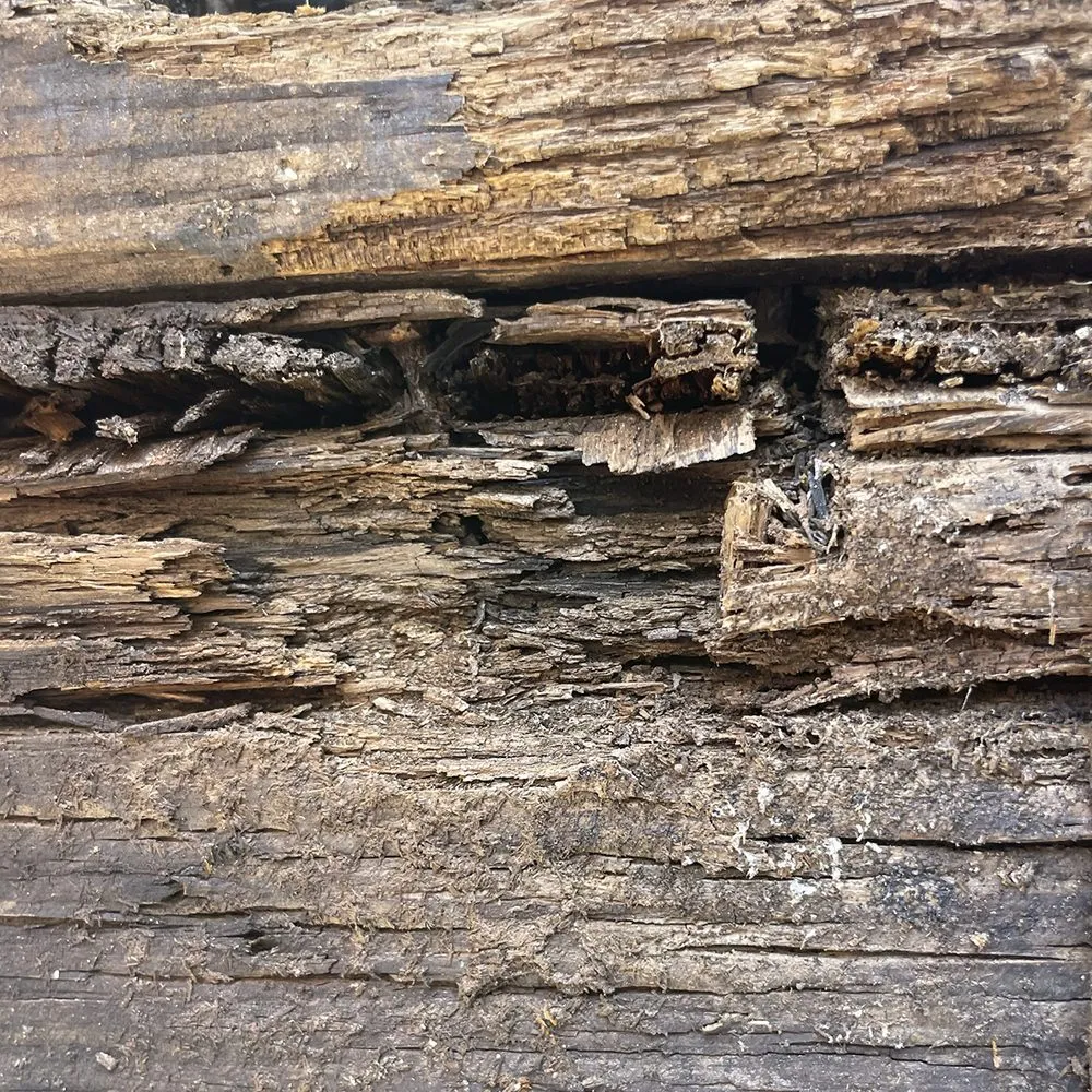 Slide of Solo Termite & Construction