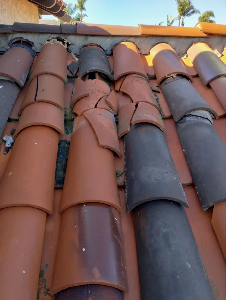 Slide of Solo Termite & Construction