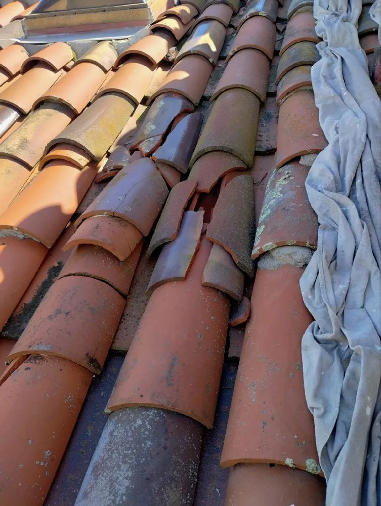 Slide of Solo Termite & Construction