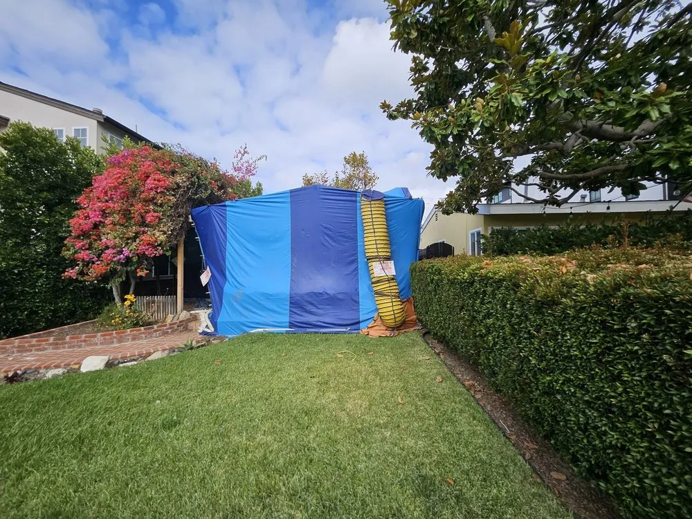 Slide of Solo Termite & Construction