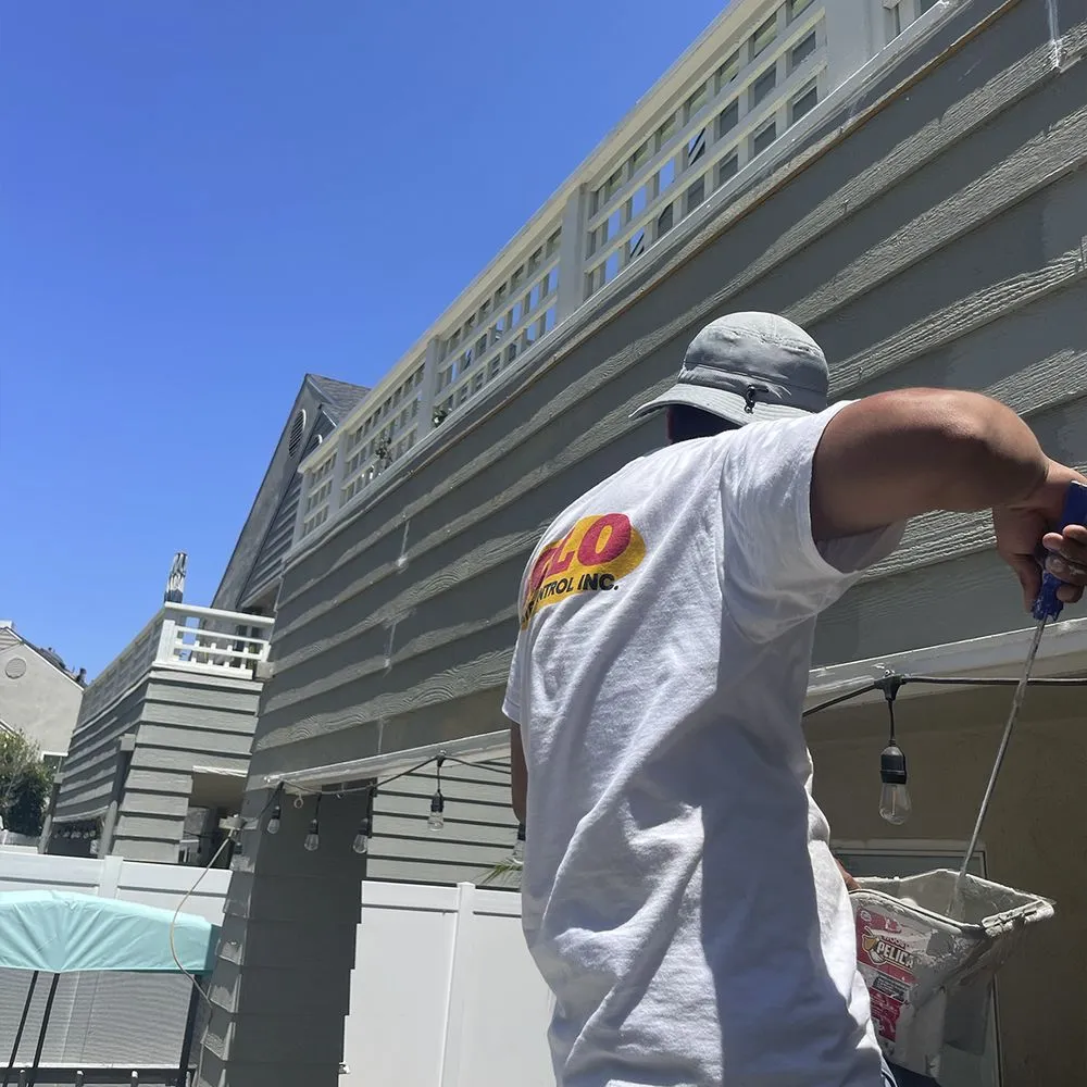 Slide of Solo Termite & Construction