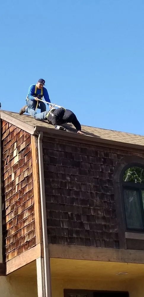 Slide of Solo Termite & Construction