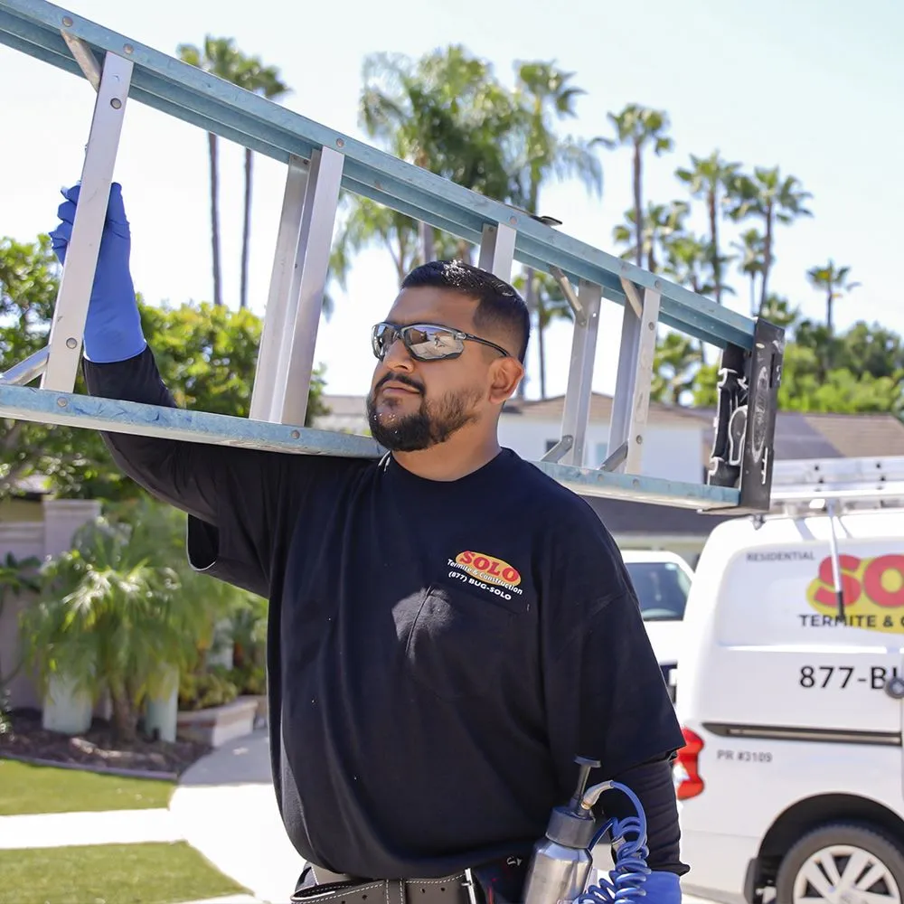 Slide of Solo Termite & Construction