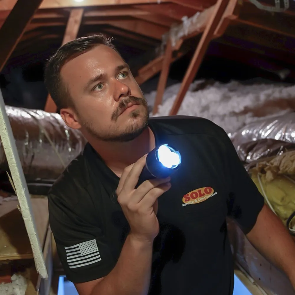 Slide of Solo Termite & Construction