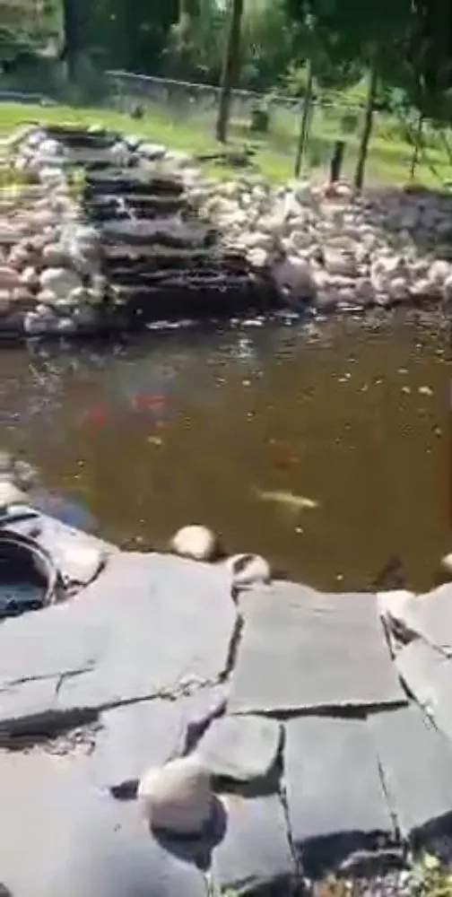 Slide of Solution Brothers