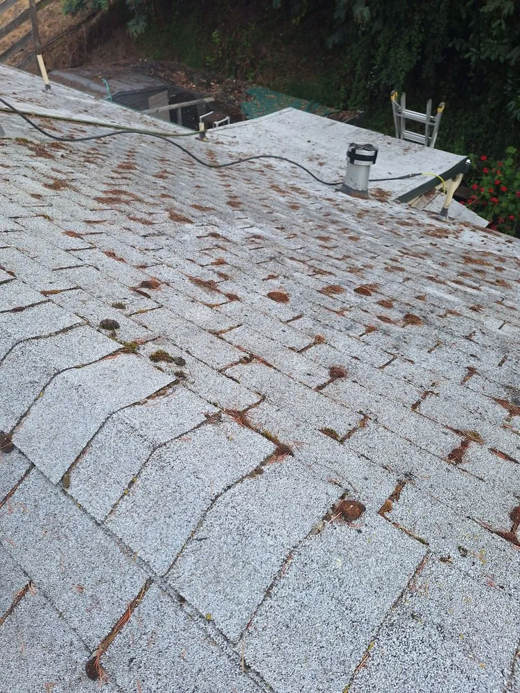 Slide of Sonic 24/7 Cleaning & Repair