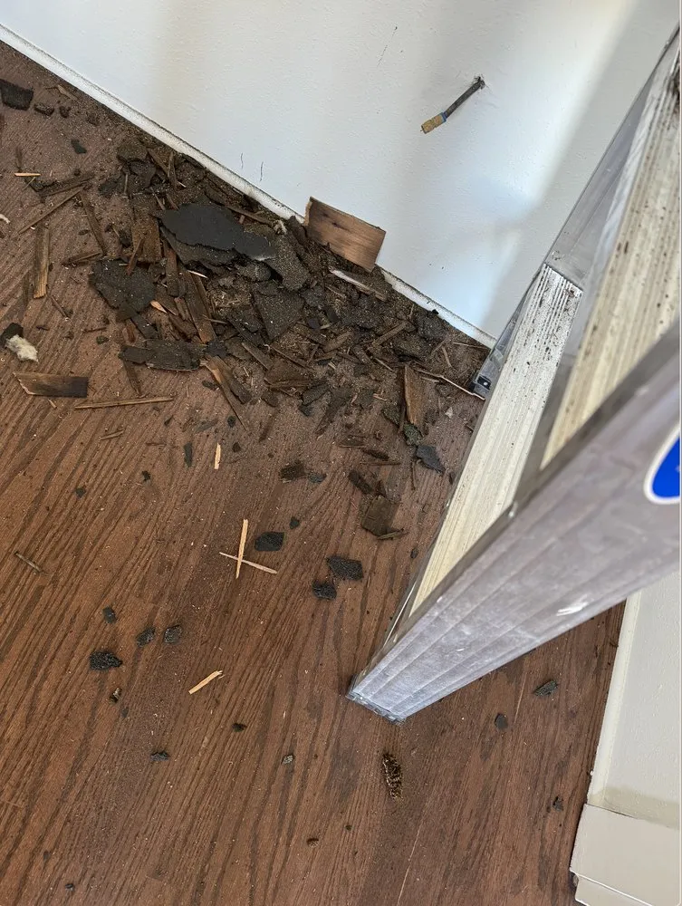 Slide of Sonny’s Construction