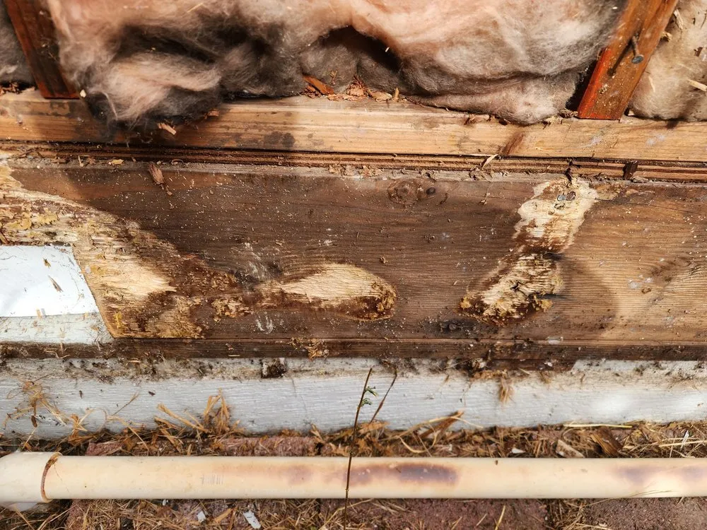 Slide of Sonoma County Construction