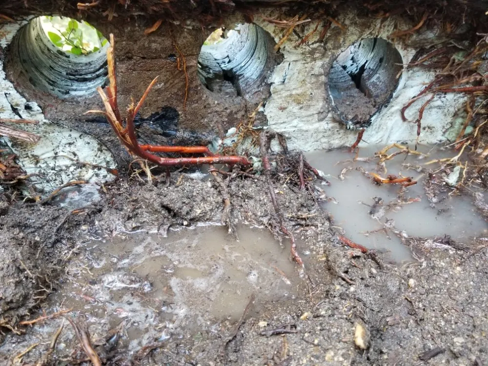 Slide of Soto's Quality Construction