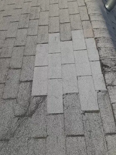 Slide of Source 1 Roofing