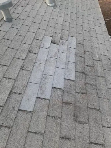 Slide of Source 1 Roofing