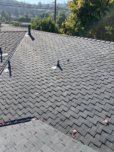 Slide of South Bay Roofing