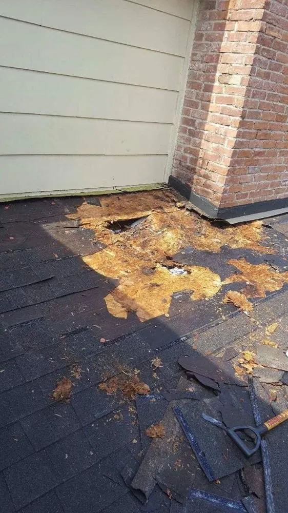 Slide of South Building Services