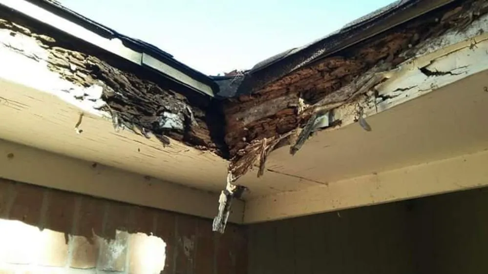 Slide of South Building Services